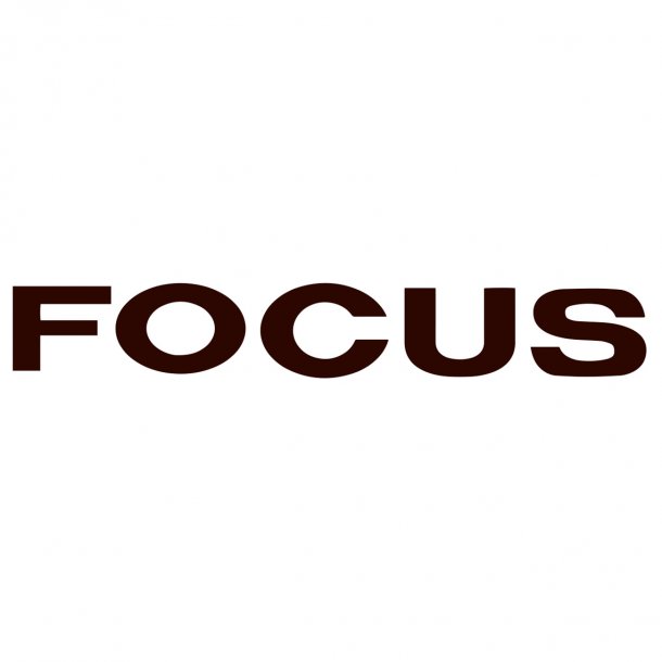 Ford Focus logo 2 - Vis alle stickers - FolieGejl.dk